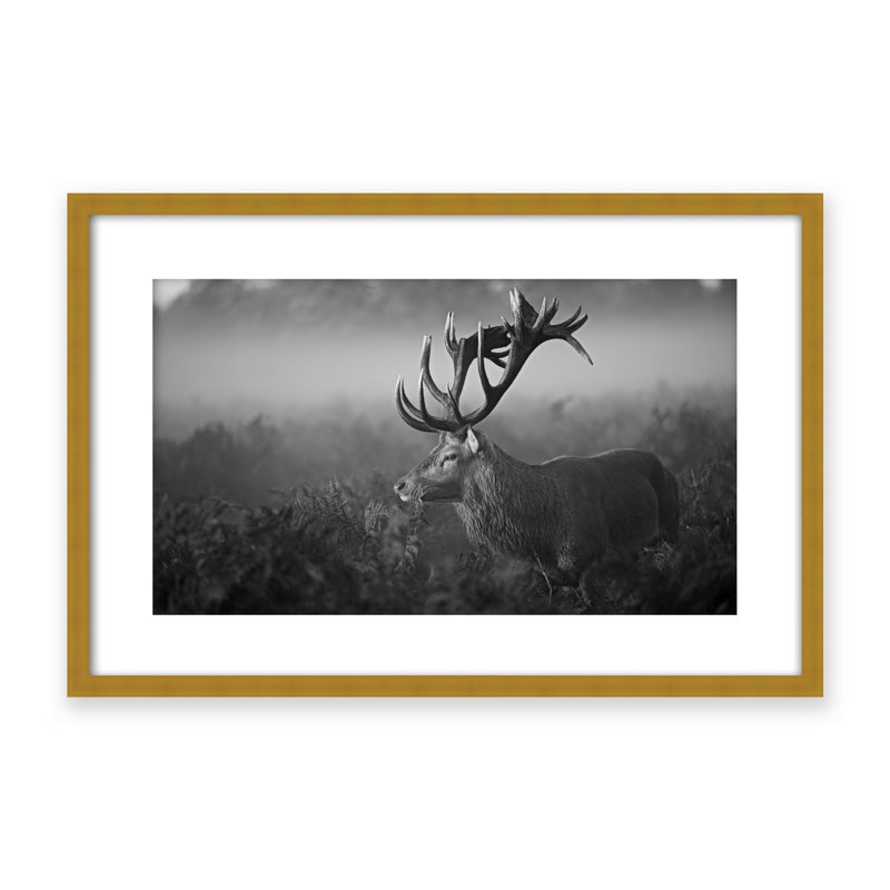Nature Inspired Sunny Morning by - Picture Frame Photograph on Paper, 24" H x 36" W x 1.125" D, Framed Print, White