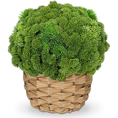 Medium Artificial Succulent Arrangement In Rattan Basket Planter