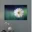 «Wood Series: A Daisy», art mural sur toile-24714589