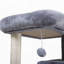 Arbre à chat double couche avec maison pour chat et échelle