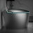 Unique Smart Toilet With Bidet Built In, Intelligent One Piece Toilet For Modern Bathroom, Auto Open/Close Seat, Foot Sensor, LED Display,Night Light, Warm Water & Dryer