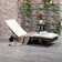 Wade Logan® Outdoor Chaise Lounge & Reviews | Wayfair