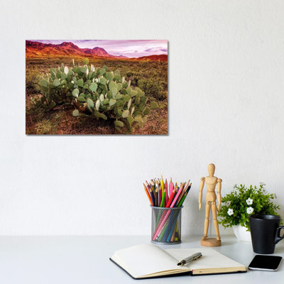 Chisos Mountains with Prickly Pear Cactus I 1 Piece Wrapped Canvas Wall Art