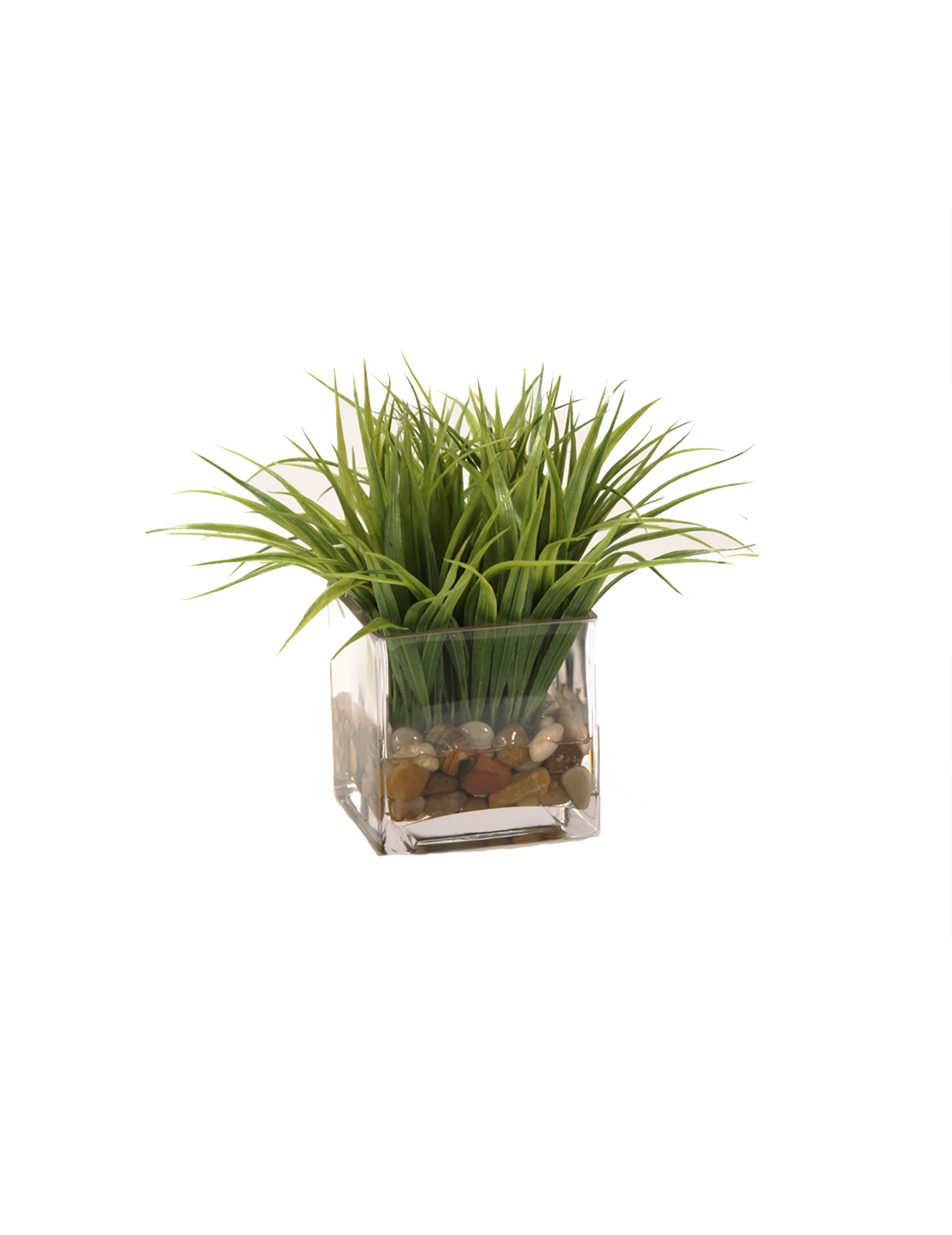 Primrue 7.87'' 3 Piece Faux Greenery Grass Plants in Cement pots