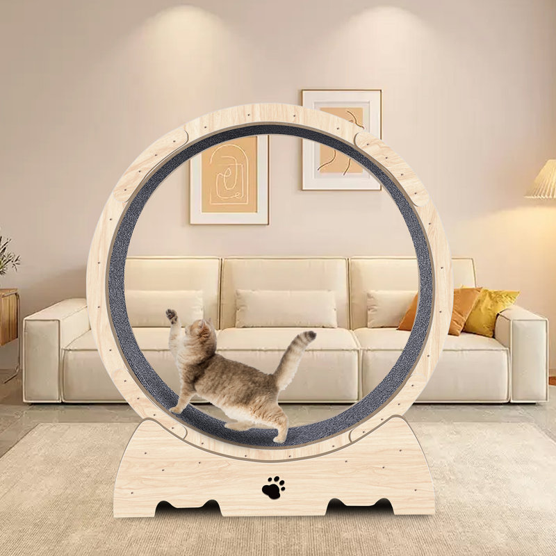Fawzan Cat Perch