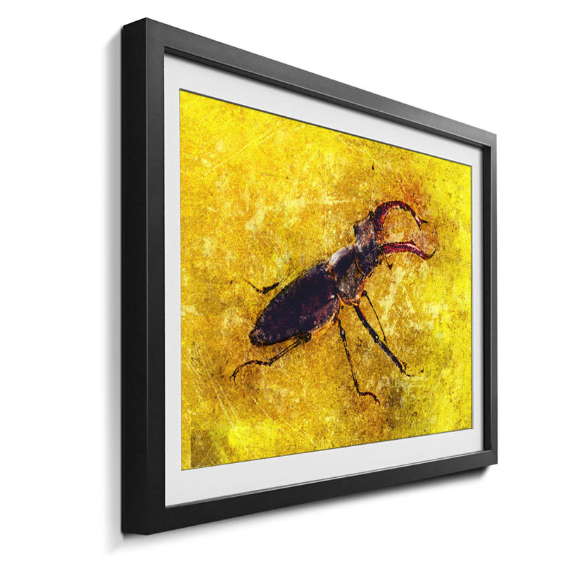 Naturdetails Stag Beetle 1 Piece Single Picture Frame Wall Art, 44cm H x 64cm W x 2.2cm D