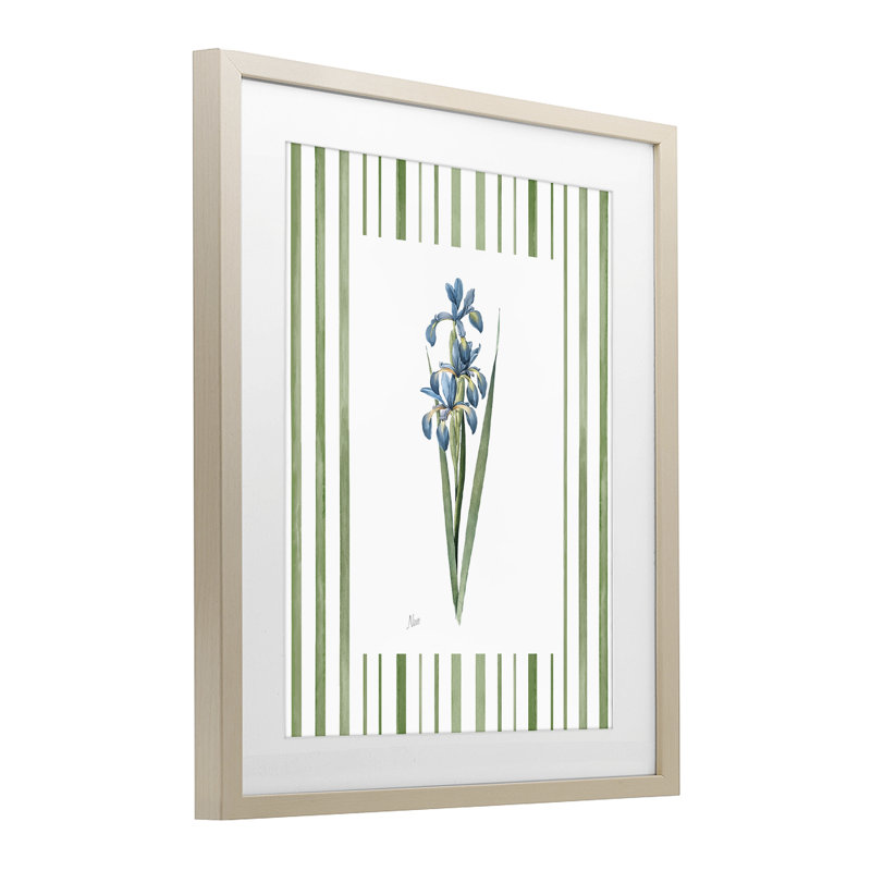 Printemps Iris avec rayures, reproduction encadrée sous verre, design par Nan, H 21 po x l 17 po, Cadre de récolte en pin