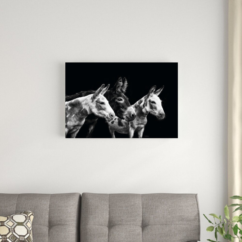 «Donkey Portrait II» par PHBurchett - Photographie sur toile tendue, H 20 po x l 30 po