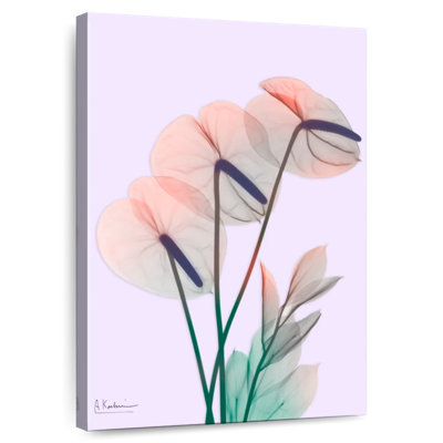 Harnek Flamingo Delight