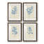 Verditer Fig I - ensemble de 4 peintures encadrées-939689360-939689362