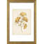Cadre photo or mat avec passe-partout pour présentation murale ou de table-129940152-129940153-129940154