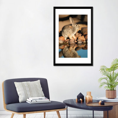«Desert Cottontail at Waterhole, Santa Rita Mountains, Arizona», reproduction de photo sur toile