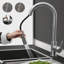 Belfry Bathroom Gaelan Pull Out Kitchen Faucet