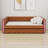 Upholstered Platform Sleeper With Pull-Out Trundle And LED-1239792822