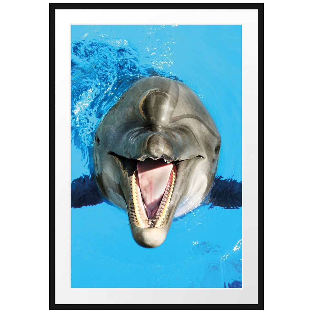 Gerahmtes Poster Delfin lacht