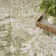Haydel Machine Washable Area Rug in Blue