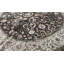 Oriental Area Rug