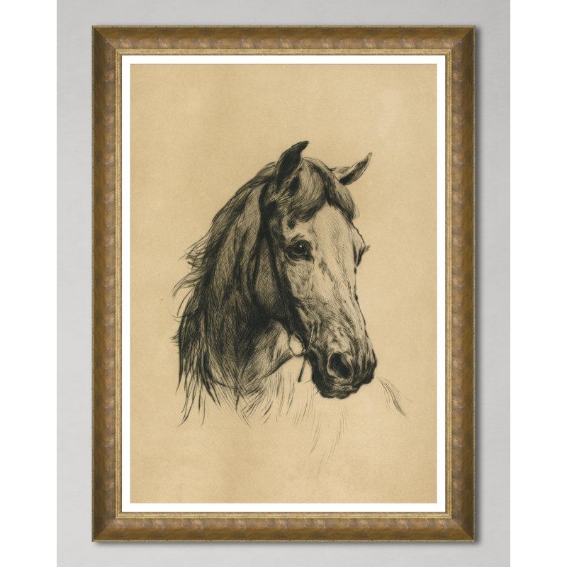HEAD OF A HORSE BY HEYWOOD HARDY
