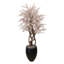 Seeded Eucalptus Tree in a Fiberstone Planter