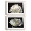 ALL AFLUTTER - ensemble de 2 reproductions-1761994145-1761994152-1778156556