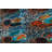 Premium Hall Carpet, 31.5 x 78.7 Inches | 100% Polyester, Antibacterial | 0.04 in Pile Height, Non-Slip Underside, Machine Washable | 3D Digital Printing | Ideal for Living Room & Entryway, Easy Maintenance-335103498