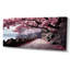 Art du Japon, chemin de fleurs de cerisier rose - Art encadré-157170734-69948019