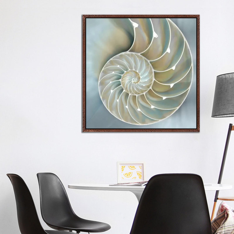 Nautilus In Blue II by Caroline Kelly - Gallery-Wrapped Canvas Giclée on Canvas, 93.98 cm H x 93.98 cm W, Classic Wood Framed