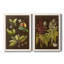 «Breadfruit On Suede», ensemble de 2 reproductions d'art graphique encadrées-1212806051-1212806057-1212837463