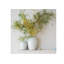 Philipa Handmade Ceramic / Porcelain Jar