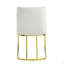 Velvet Side Chair (Set Of 2)