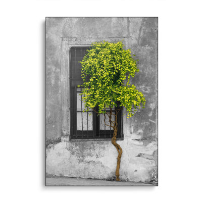 Reproduction d'art mural sur toile Steemplix - arbre en face de la fenêtre