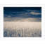 Fall Wheat Field Framed Photographic Print