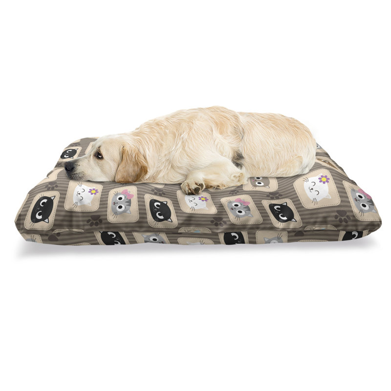 Multicolore, lit pour chat Ambesonne