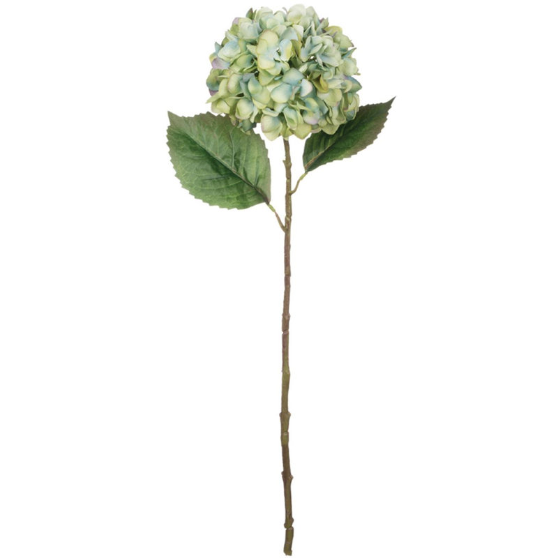 Hydrangea Arrangement, Green