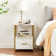 Kempst End Table with Storage