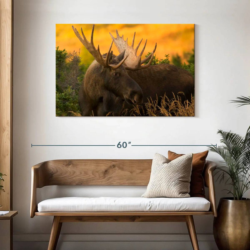 Chugach Bull Moose, 30" H x 45" W
