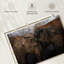 «Brampt Elephant Young Love»-108155456