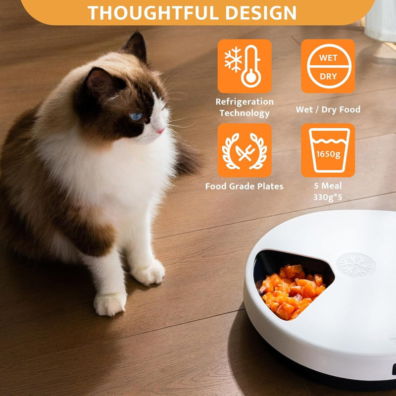 and Automatic Feeder
