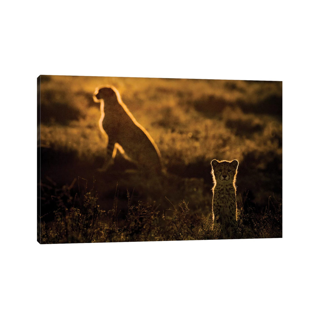 Africa, Tanzania, Ngorongoro Conservation Area. Adult And Young Cheetahs At Sunset. by Jaynes Gallery - Wrapped Canvas Painting