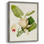 Magnolia Flowers II Framed Print - Solid Wood-1949478870