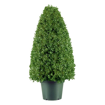 Topiaire de buis artificiel en pot 