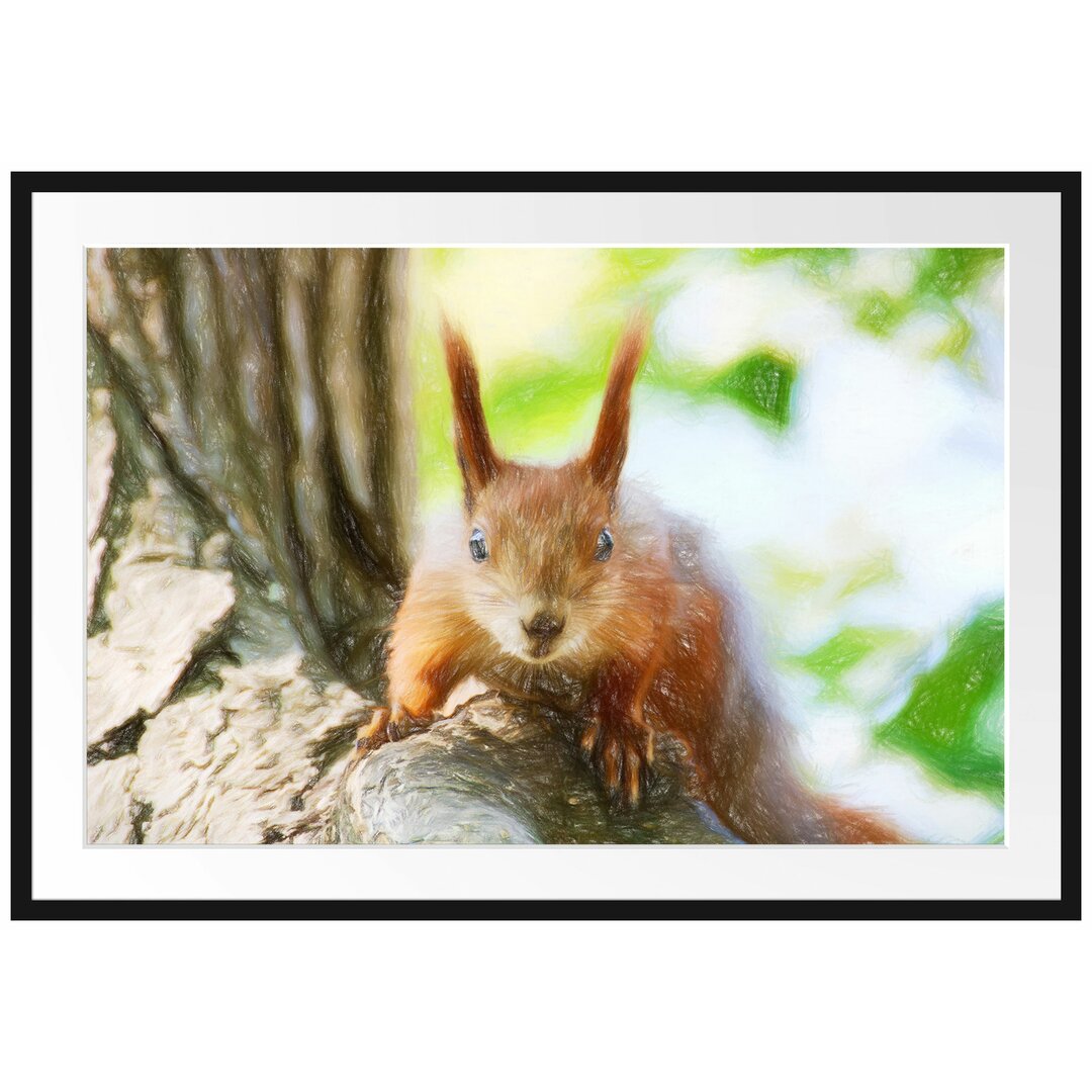 Gerahmtes Poster Eichhörnchen auf dem Baum