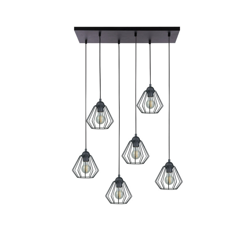 Alneisha 6 - Light Caged Pendant, Black