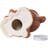 Precious Moments Jesus Loves Me Teddy Bear Coin Bank 5.5 Inch
