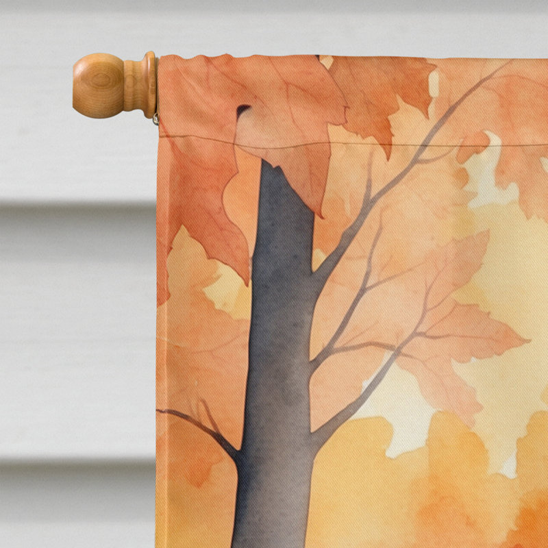 Chat en feuilles d'automne, Oregon Rex