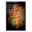 «Desert Flower 5» par Lightbox Journal-269340347