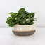 Pots de fleurs en céramique émaillée Santa Barbara Bowls (lot de 4) - Noack Outdoor-1405024297