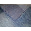 Waddy Area Rug in Blue