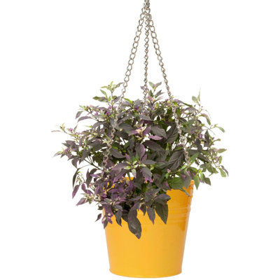 Abbie Metal Hanging Planter
