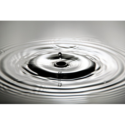 Detavious " Water Drops "